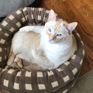 Meet your Posher, Kathy